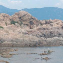 Archipel Des îles Sanguinaires
