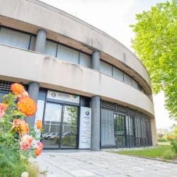 Archives Municipales Et Communautaires