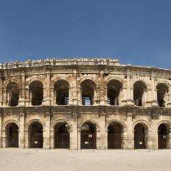Arenes