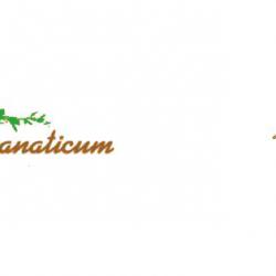 Arganaticum