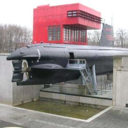 Argonaute