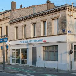 Argos Vétérinaire Bordeaux Bastide
