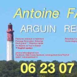 Arguin Renov