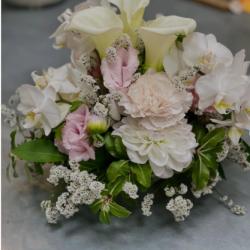 Ariane Fleurs