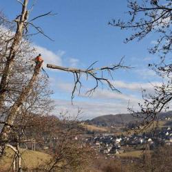 Ariège Arboriste