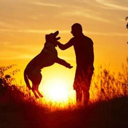 Ariege Education Canine Denis Racagel