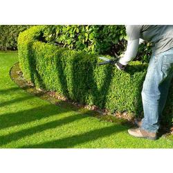 Arnaud Bach Multi-services