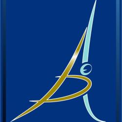 Paris Auto Expertise Arnaud Hugon