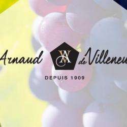 Arnault De Villeneuve