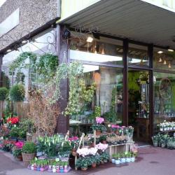 Arôme Nature