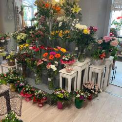 Aromes Et Fleurs