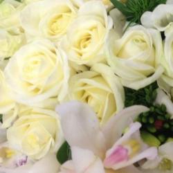 Aromessence
