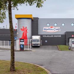 Arrivé - Maître Coq