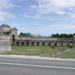 Ars En Ré