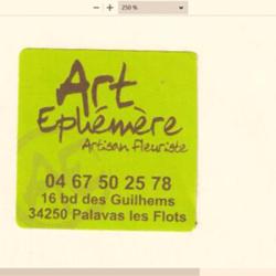 Art Ephémère