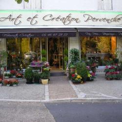 Art Et Creation Pervenche