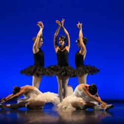 Art Et Mouvement Danse
