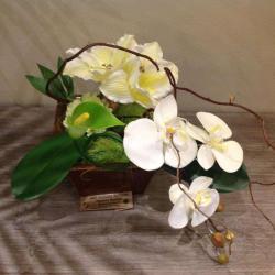 Art Fleurs Nature