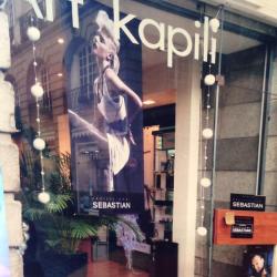 Art Kapili