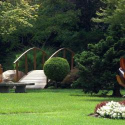 Art Vegetal