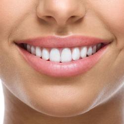 Artdental