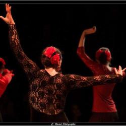 Arte Flamenco