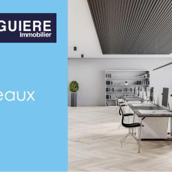 Arthur Loyd Figuiere Immobilier