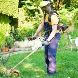 Articoop Services