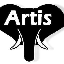 Artis Bain Douche