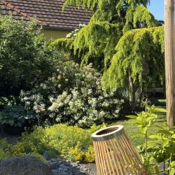 Artisan Des Jardins - Prestations De Jardinage