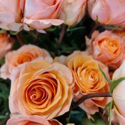 Artisan Fleuriste 4 Nat'ures - Bouquet Fleurs Séchées Plantes