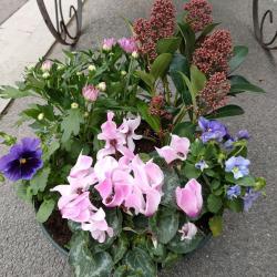 Artisan Fleuriste