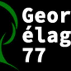Artisan Georges, élagueur Du 77
