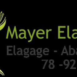 Artisan Mayer, éagueur Fiable Du 78