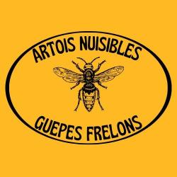 Artois Nuisibles Guêpes Frelons