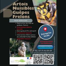 Artois Nuisibles Guêpes Frelons