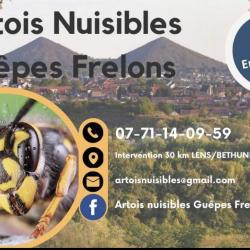 Artois Nuisibles Guêpes Frelons