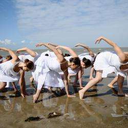Arts Circuit - La Danse En Mouvement