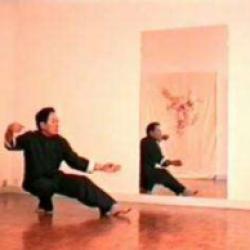 Fédération Kungfu  Taichi