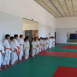Arts Martiaux Saint Aunes ( Amsa )