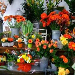 Arum Fleurs Et Décorations