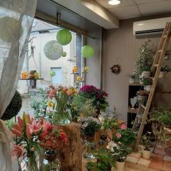 Arum Ver'tige : Fleuriste