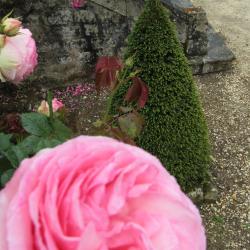 As Des Jardins