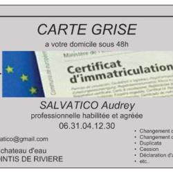 A.s Services Carte Grise