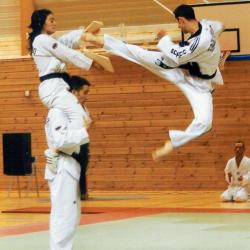 A.s. Taekwondo Sonmudo Millau