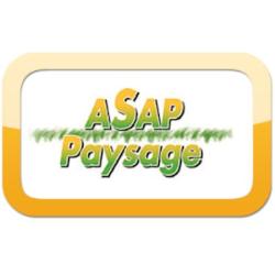 A.s.a.p