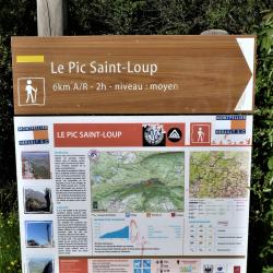 Ascension Du Pic - Saint - Loup