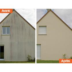 Asg Renovation