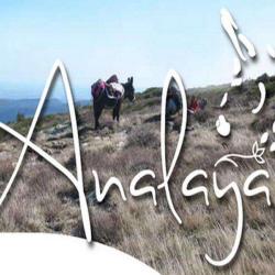 Asinerie Analaya