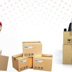 Asn Trans-logistic